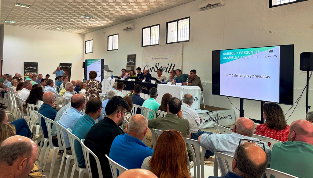 asamblea-corsevilla-2026