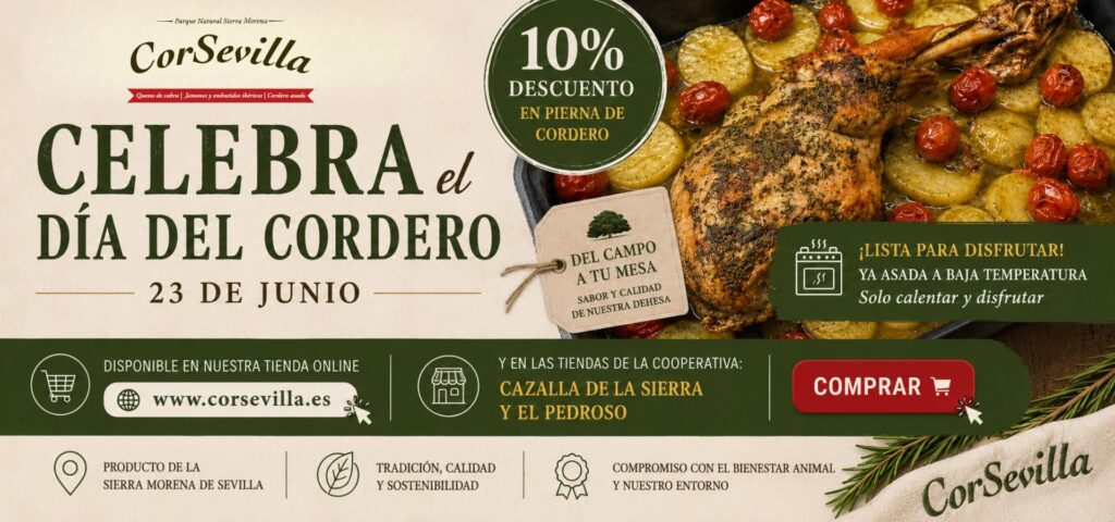 Banners web CorSevilla