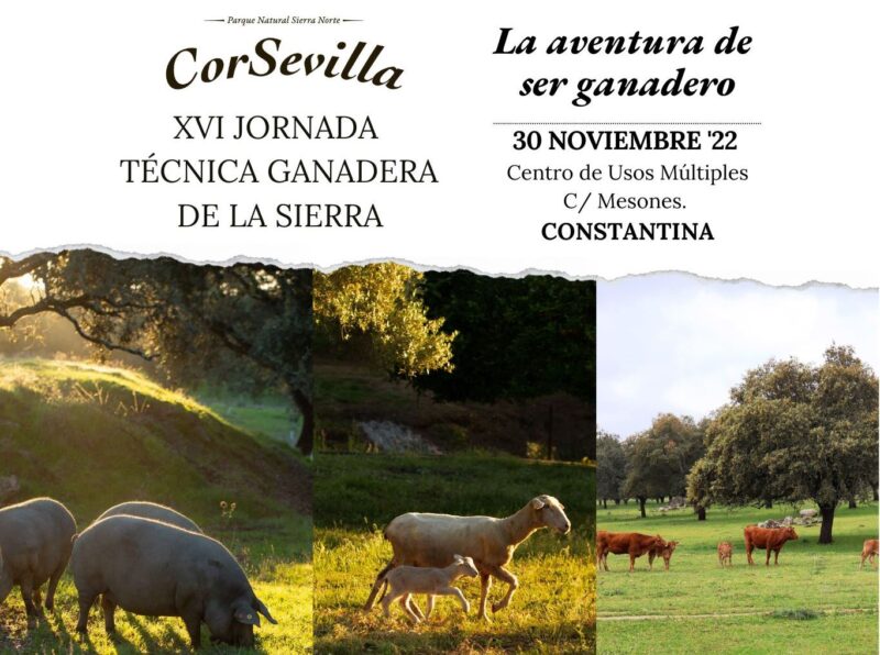 Las XVI Jornadas Técnicas de la Sierra tratarán nuevas perspectivas en la producción ganadera, la PAC e interesantes talleres