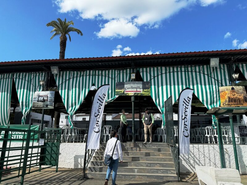 CorSevilla presenta sus actividades en Ganatur 2025 que se celebra esta semana en Constantina