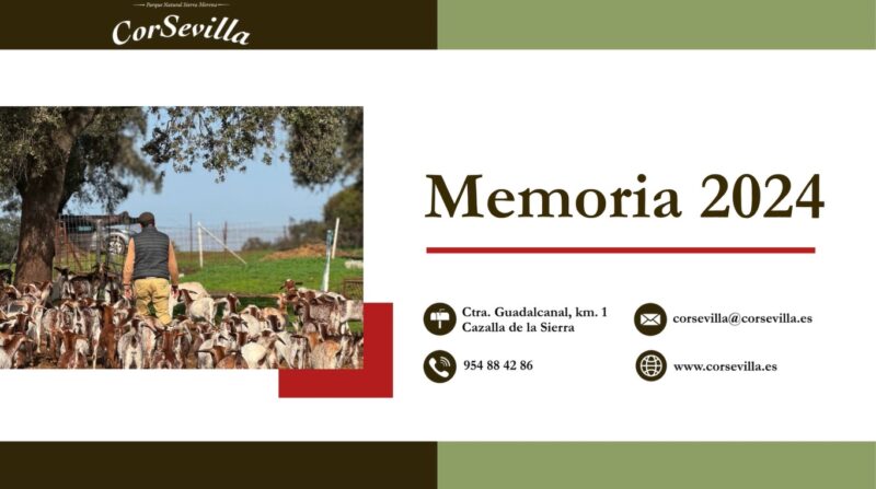 Memoria 2024 de CorSevilla