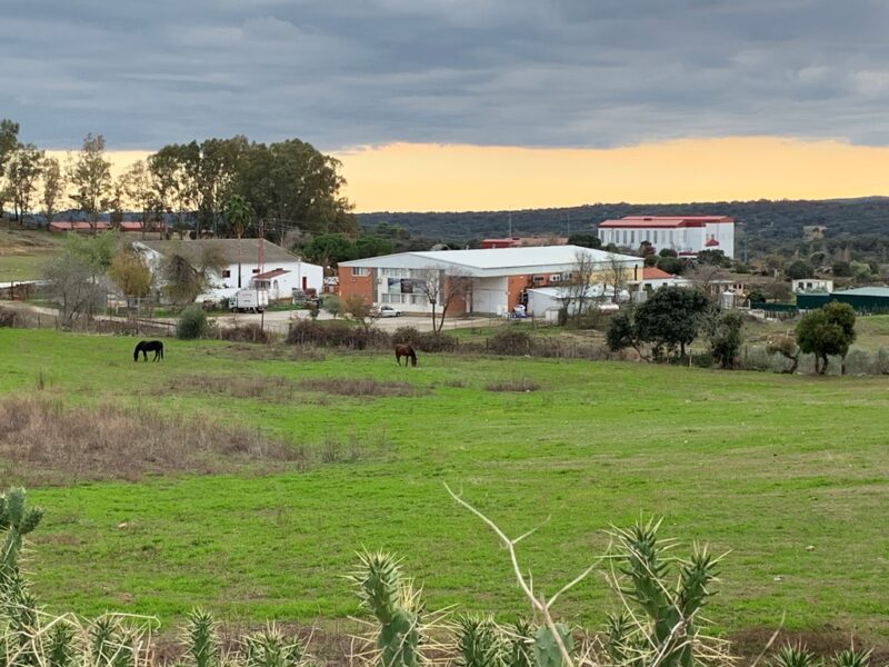 Oferta para el servicio de construcción de nave en la quesería de El Pedroso