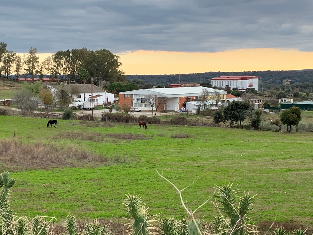 queseria corsevilla en el pedroso